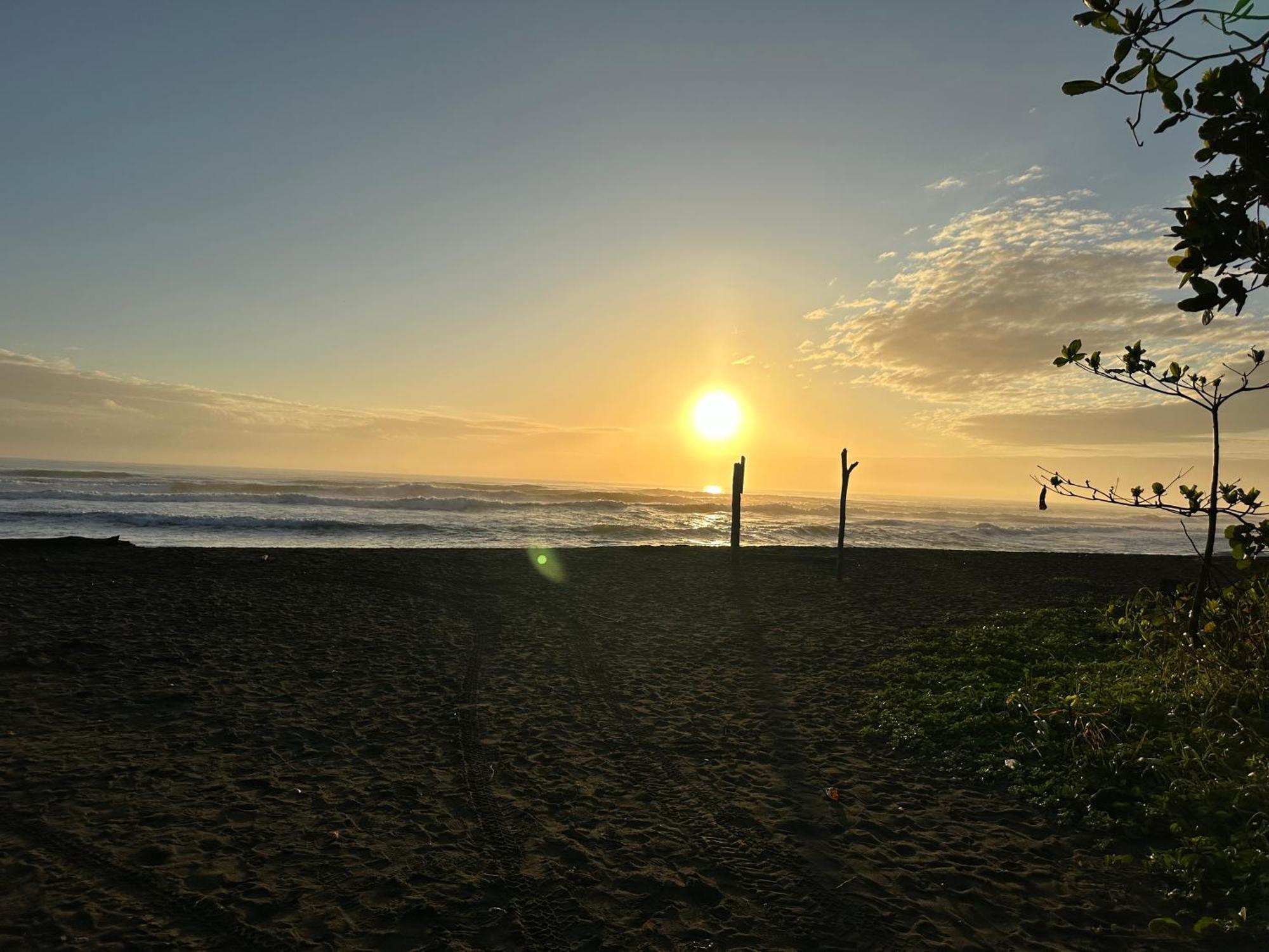 Tortuguero7 Lake View Экстерьер фото