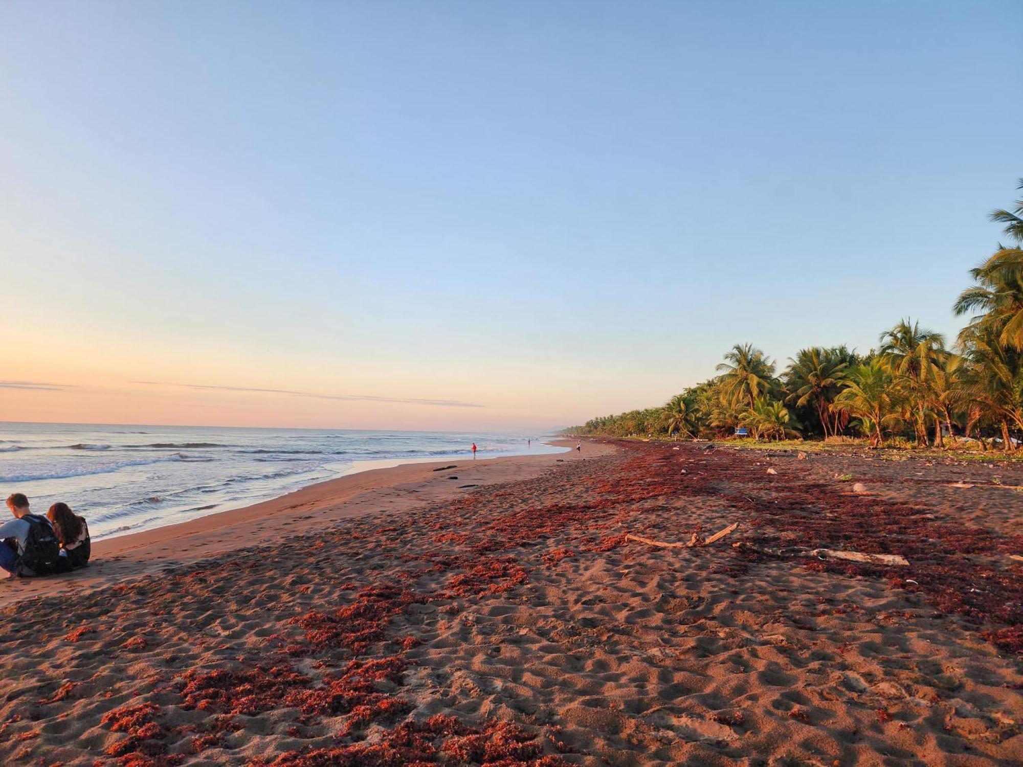 Tortuguero7 Lake View Экстерьер фото